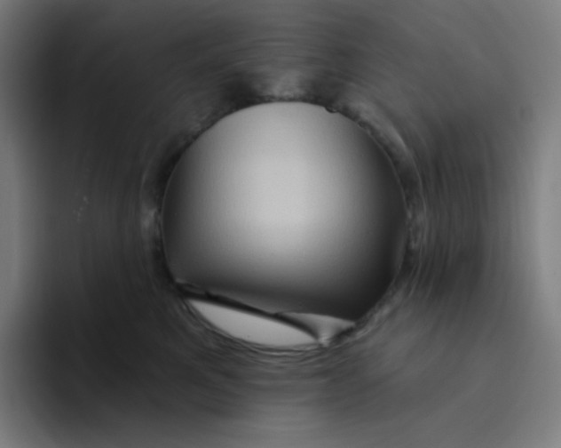 X0000094190521200711161751