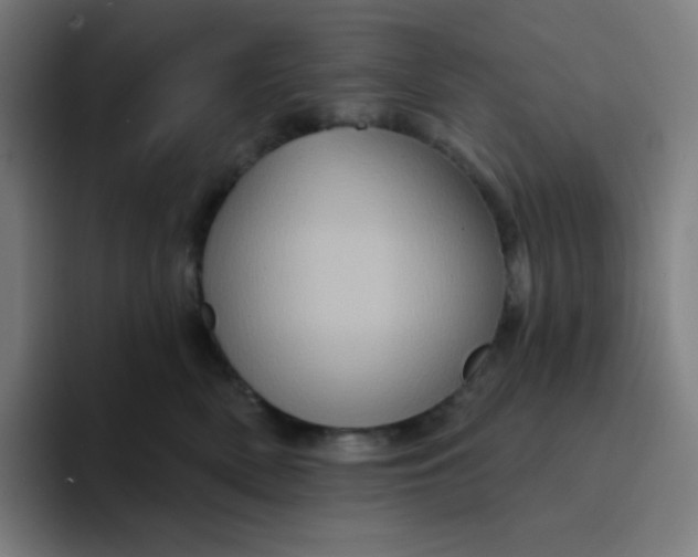 X0000094190522200711161751