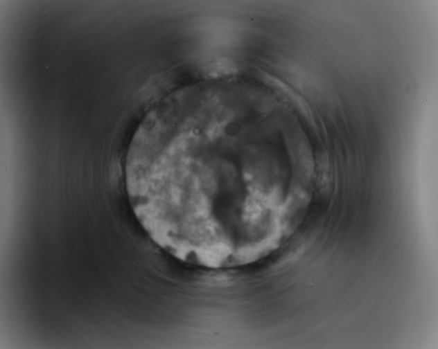 X0000094190523200711161751