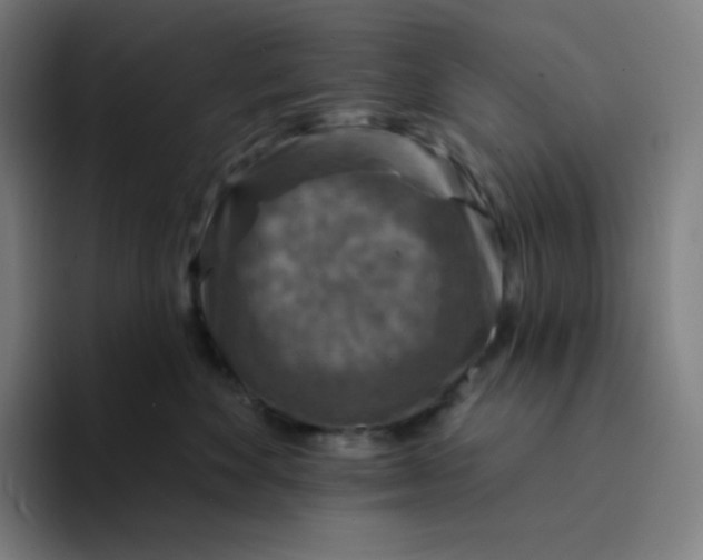 X0000094190524200711161751