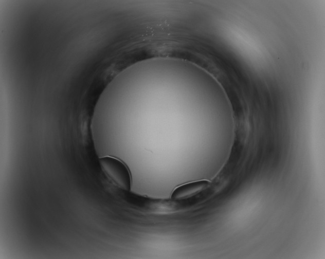 X0000094190525200711161751