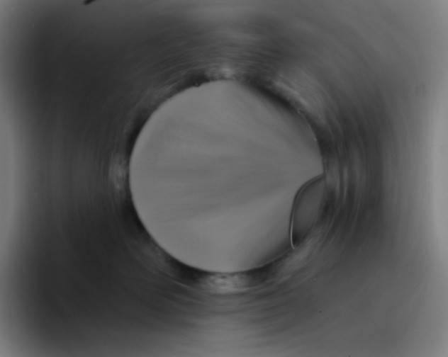 X0000094190526200711161751