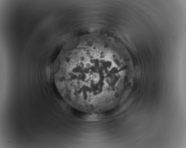 X0000094190527200711161750