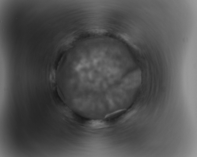 X0000094190528200711161750