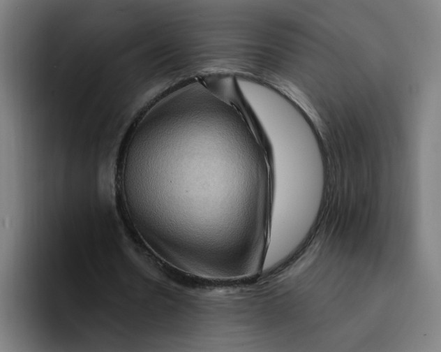 X0000094190530200711161750