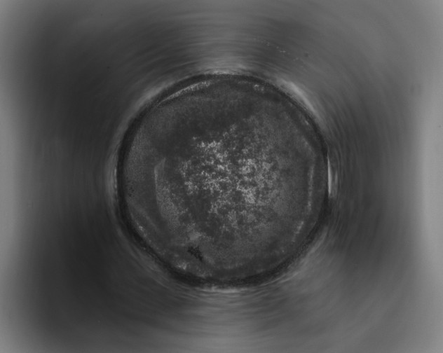 X0000094190531200711161750