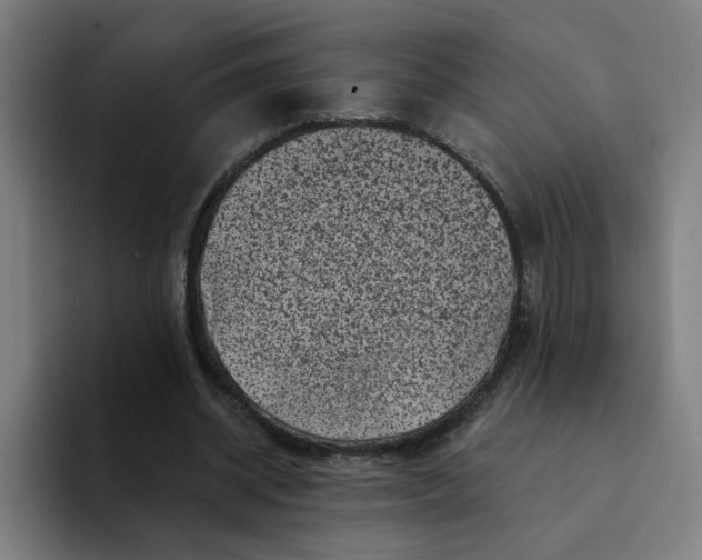 X0000094190534200711161750