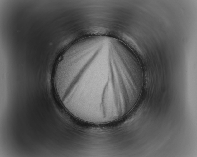 X0000094190538200711161750