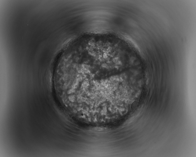 X0000094190542200711161750