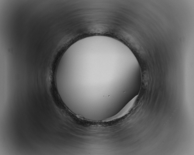 X0000094190544200711161750