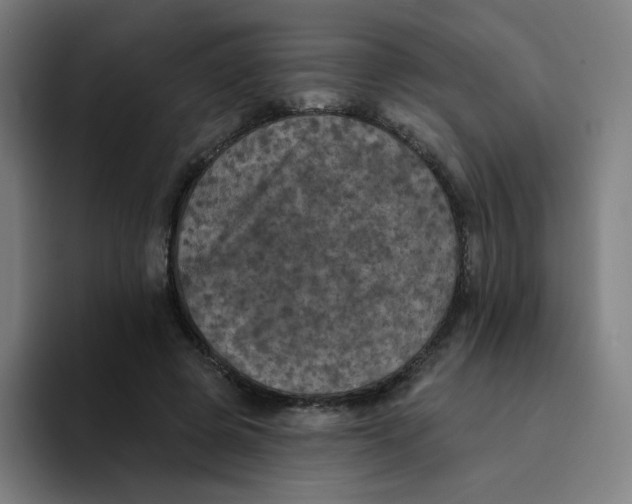 X0000094190545200711161750