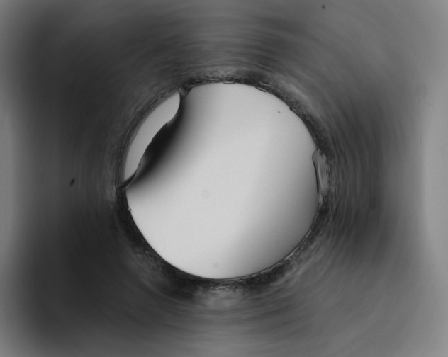 X0000094190546200711161750