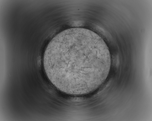 X0000094190549200711161750