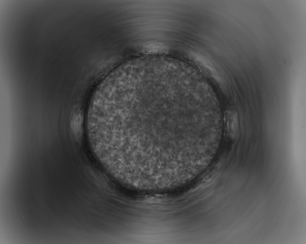 X0000094190550200711161750