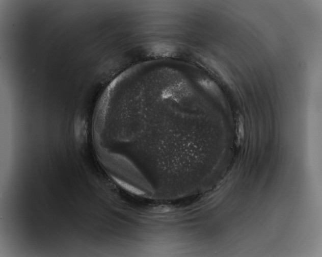 X0000094190551200711161750