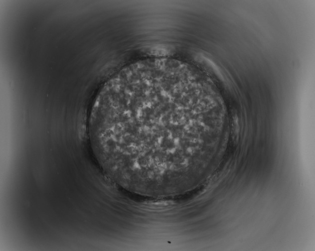 X0000094190553200711161750