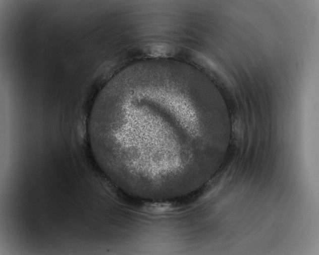 X0000094190554200711161750