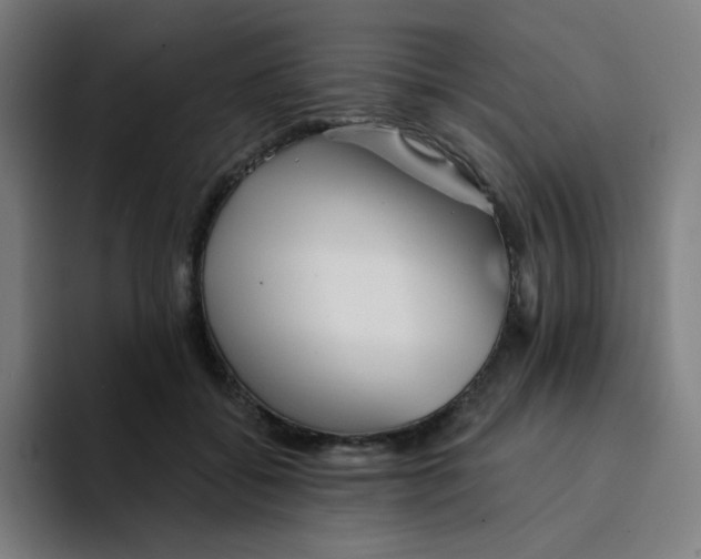 X0000094190556200711161750