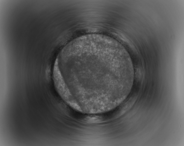 X0000094190557200711161750