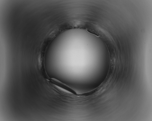 X0000094190558200711161750