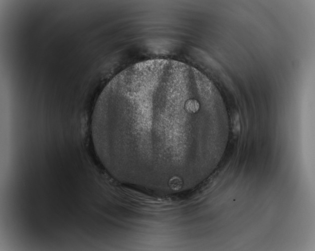 X0000094190559200711161750