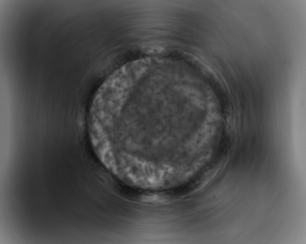 X0000094190561200711161750