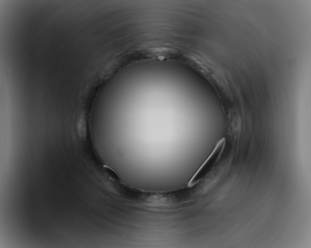 X0000094190562200711161750