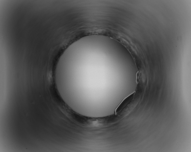 X0000094190564200711161750