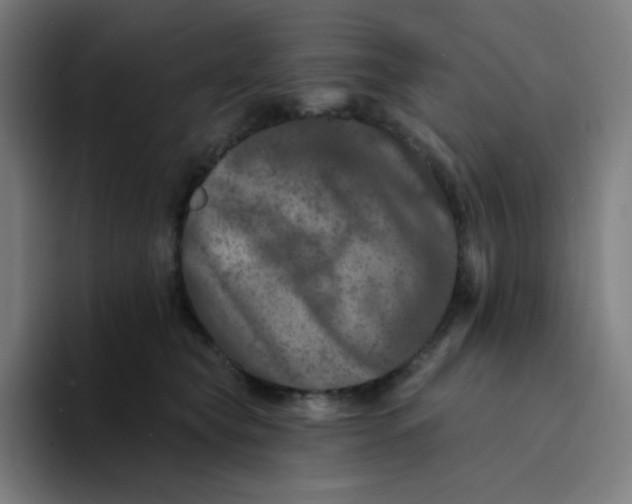 X0000094190565200711161750