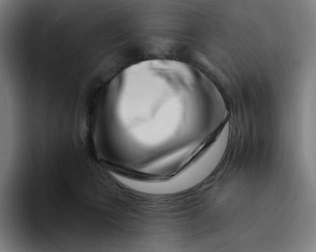 X0000094190566200711161750