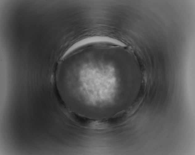 X0000094190568200711161750