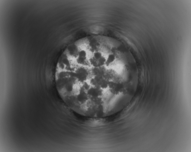 X0000094190569200711161750