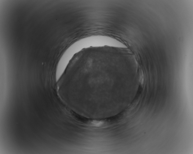 X0000094190570200711161750