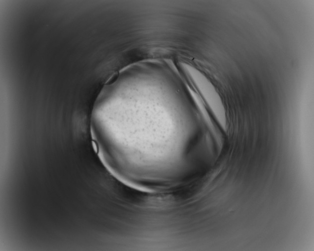 X0000094190571200711161750