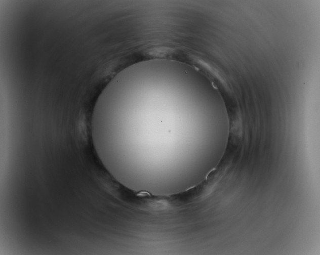 X0000094190572200711161750