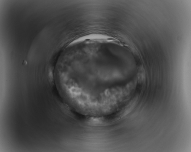 X0000094190573200711161750