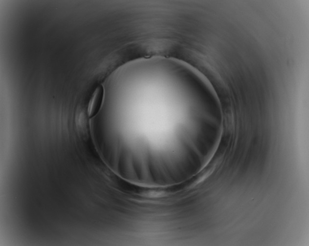 X0000094190575200711161750