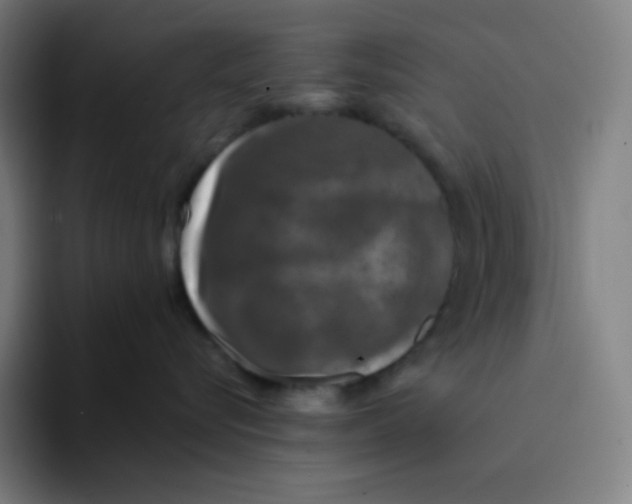 X0000094190576200711161750