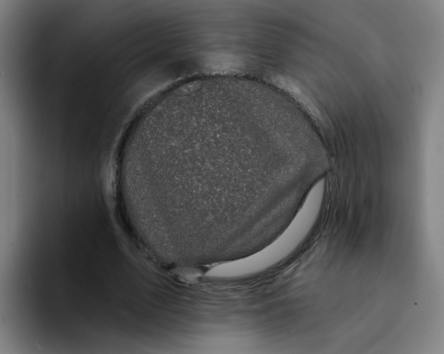 X0000094190583200711161750