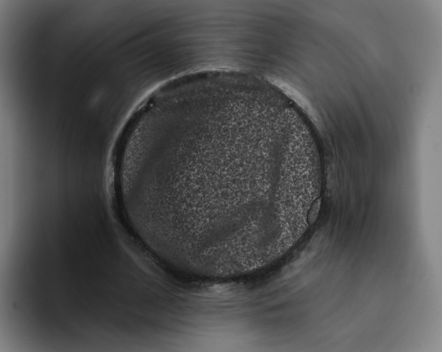 X0000094190584200711161750