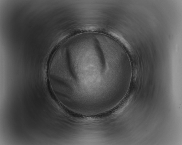 X0000094190585200711161750