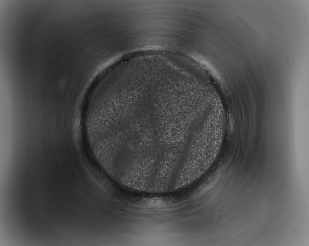 X0000094190588200711161750