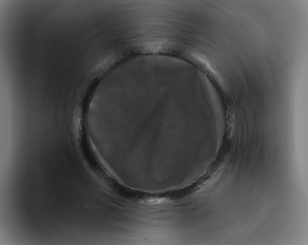 X0000094190590200711161749