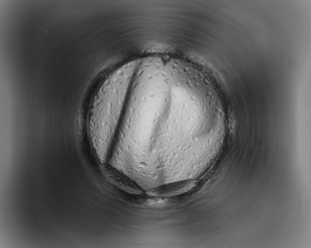 X0000094190591200711161749