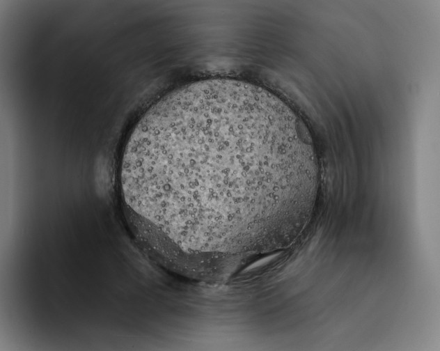 X0000094190593200711161749