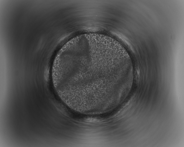 X0000094190596200711161749