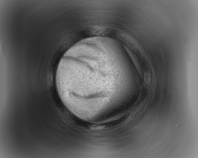 X0000094190602200711161749