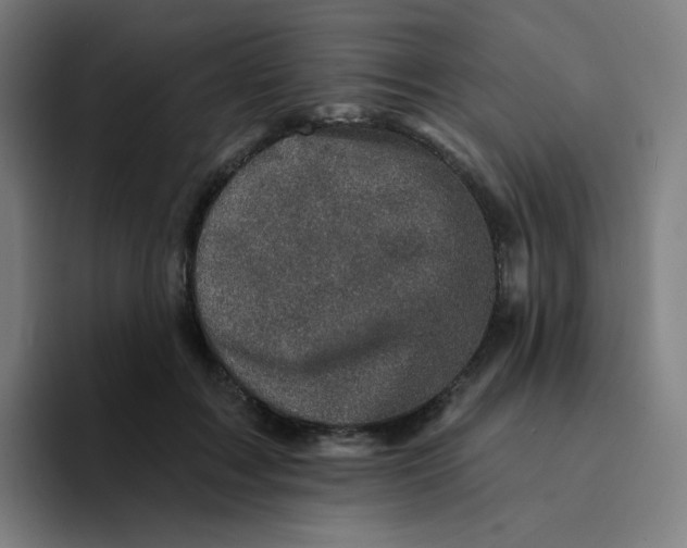 X0000094190603200711161749