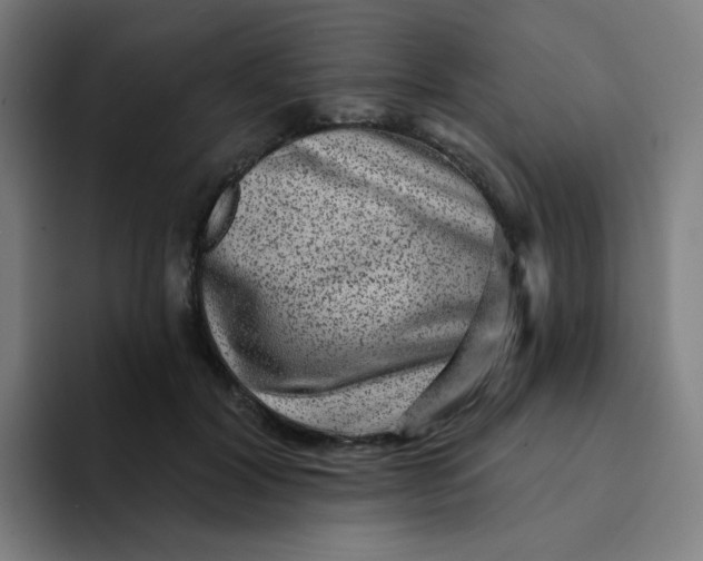 X0000094190604200711161749