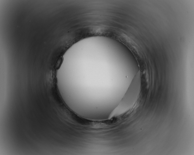 X0000094190605200711161749